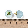 Transparent Glass Apple Pendants X1-DGLA-E004-16E-3