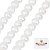 Beebeecraft 1 Strand Grade AA Natural Cultured Freshwater Pearl Beads Strands PEAR-BBC0001-15-1