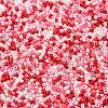 Baking Paint Glass Seed Beads X-SEED-S042-05B-46-3