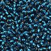 TOHO 8/0 Round Beads X-SEED-TR08-0023BD-2