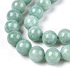 Natural Myanmar Jade/Burmese Jade Beads Strands G-T064-22-10mm-3