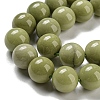 Natural Alashan Agate Beads Strands G-E598-03B-4