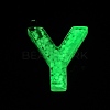 Luminous Resin Pendants X1-RESI-I059-Y02-3