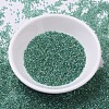 MIYUKI Delica Beads SEED-X0054-DB0060-2
