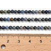 Natural Dumortierite Beads Strands G-Z116-A26-3mm-5