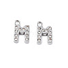304 Stainless Steel Charms STAS-N095-137M-1