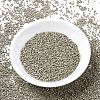 MIYUKI Delica Beads SEED-X0054-DB1168-2