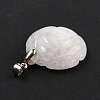 Natural Gemstone Pendants G-I319-02P-5