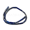 Natural Lapis Lazuli Beads Strands G-I326-05A-3