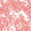 Glass Seed Beads SEED-A032-01E-3