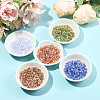 438Pcs Imitation Cat Eye Glass Seed Beads SEED-FS0001-47E-5