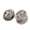 Natural Maifanite Cabochons G-C115-01A-30-2