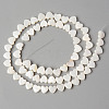 Natural Freshwater Shell Beads Strands X-SHEL-N026-71-2