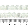 Natural Selenite Beads Strands G-C142-01A-06-5