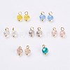 Electroplated Glass Charms GLAA-P038-05G-1