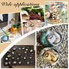 4Pcs Natural Shell FIND-PH0027-49-5