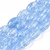 Transparent Crackle Glass Beads Strands GLAA-S192-B-010C-1