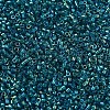 MIYUKI Delica Beads SEED-X0054-DB1764-3