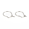 Non-Tarnish 304 Stainless Steel Hoop Earrings STAS-I149-11P-3