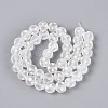 Frosted Handmade Lampwork Beads LAMP-Q039-10A-2