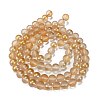 Frosted Transparent Glass Bead Strands GLAA-P065-10mm-02-5