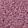 MIYUKI Round Rocailles Beads SEED-X0056-RR0555-3