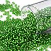 TOHO Round Seed Beads SEED-XTR11-0027F-1