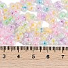 Glass Seed Beads SEED-K010-03M-4