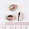 Natural Cowrie Shell Beads X-BSHE-S053-3