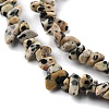 Natural Dalmatian Jasper Beads Strands G-G0003-B29-4