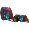 7M Flat Embroidery Polyester Ribbons OCOR-WH0003-011A-1
