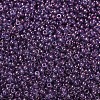 MIYUKI Round Rocailles Beads X-SEED-G007-RR1884-4
