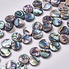 Abalone Shell/Paua Shell Beads Strands BSHE-L043-03-1