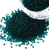 15/0 Transparent Czech Glass Seed Beads SEED-N004-004-03-1
