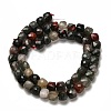 Natural African Bloodstone Beads Strands G-H078-C26-01-3