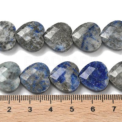 Natural Lapis Lazuli Beads Strands G-A309-A07-01-1