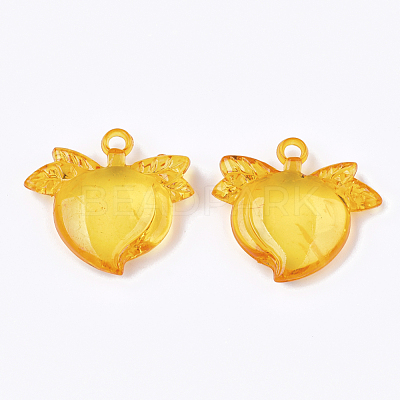 Transparent Acrylic Pendants TACR-S133-039-1
