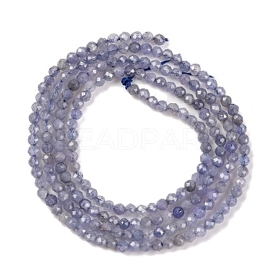 Natural Tanzanite Beads Strands G-F770-C04-03-1