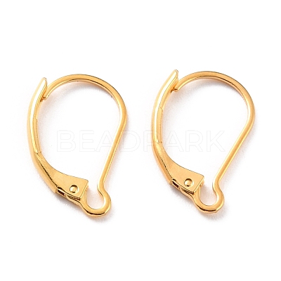 304 Stainless Steel Leverback Earring Findings STAS-K233-04G-1