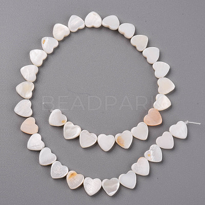 Natural Freshwater Shell Beads Strands X-SHEL-R144-25-1