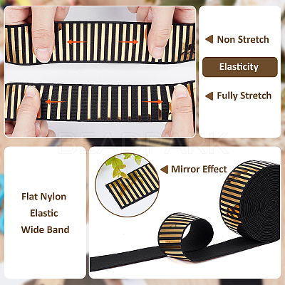 5 Yards Flat Nylon Hot Stamping Striped Elastic Wide Cord OCOR-BC0007-92B-1