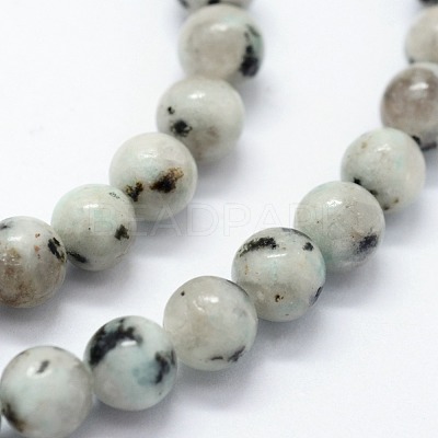 Natural Sesame Jasper/Kiwi Jasper Beads Strands G-I199-29-8mm-1