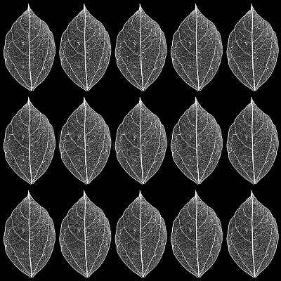 100Pcs Dried Flower Leaf Craft Supplies AJEW-CP0009-41B-1