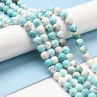Natural Magnesite Beads Strands G-L555-02C-02-1