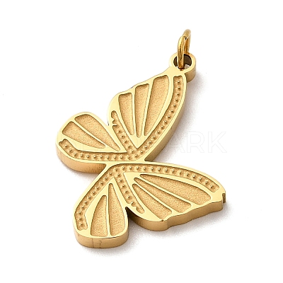 304 Stainless Steel Pendants STAS-B093-17G-02-1