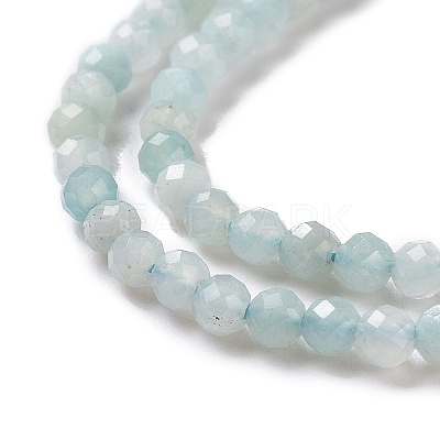 Natural Amazonite Beads Strands G-E351-10A-1