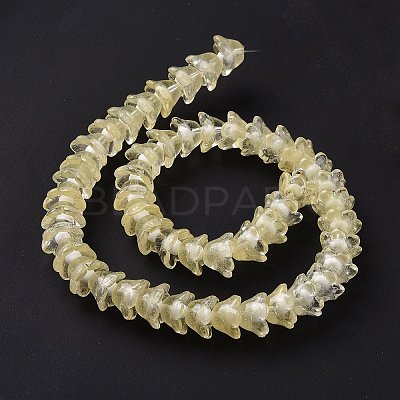 Transparent Glass Beads Strands LAMP-H061-01C-05-1