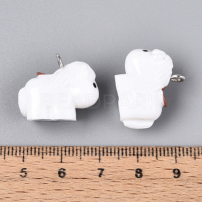 Opaque Resin Pendants RESI-N046-01-1