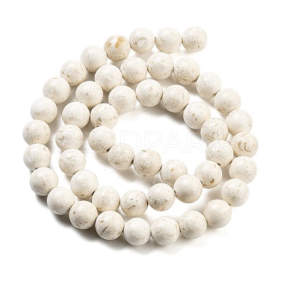 Natural Fossil Beads Strands G-H026-02C-1