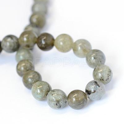 Natural Labradorite Round Bead Strands G-E334-8mm-19-1